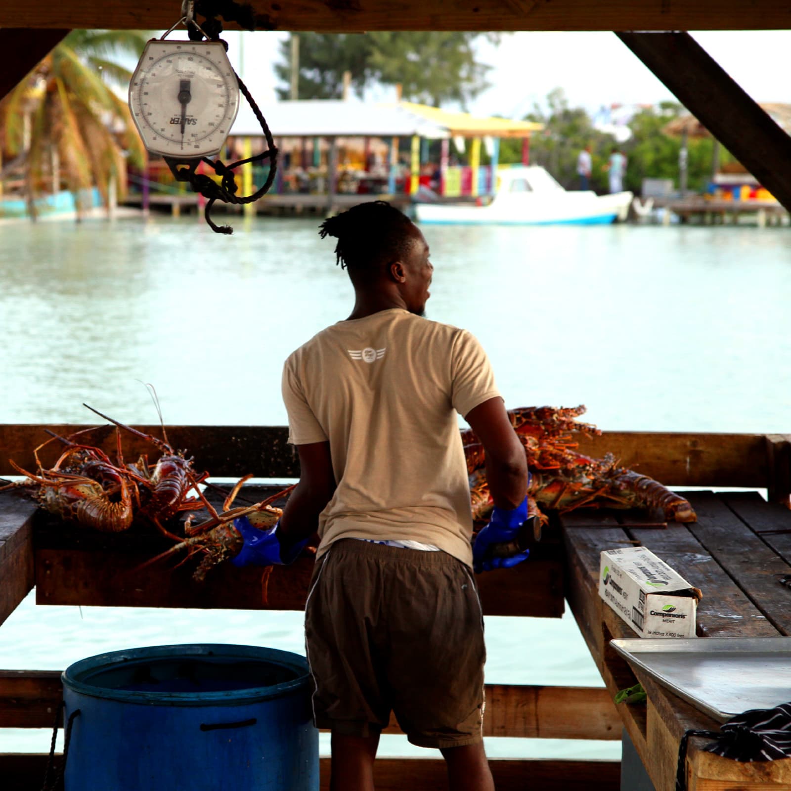 Famous Anegada lobster